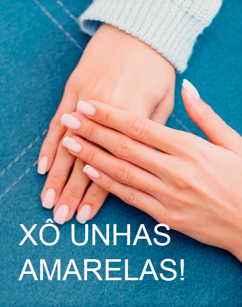 unha06 unha06